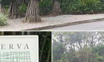 Imagem 2: Terreno no bairro Itanhangá