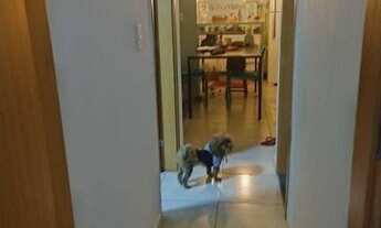 Imagem 6: Lindo Apartamento Térreo em Colina de Laranjeiras!