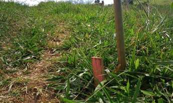 Imagem: Terrenos disponíveis várias opções de