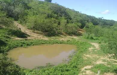 Imagem 5: Terreno/lote, na zona rural de Gravatá PE, com 98 hectares