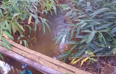 Imagem 6: Vendo Chácara no município de Nerópolis 2.500 m²