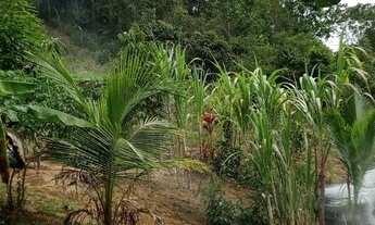 Imagem 3: Terreno grande Terreno / lote com venda por R$12.000