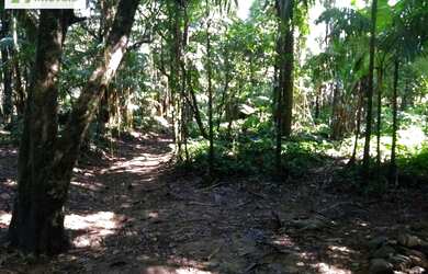 Imagem 5: Chácara-à-Venda-em-São-João-da-Graciosa-Morretes-PR