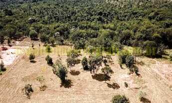 Imagem 6: Sítio 2,46 hectares, plano, energia, poço, Monte Alegre de Minas MG