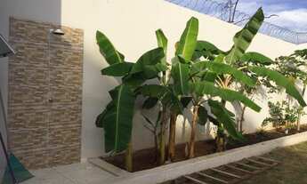 Imagem 4: Vale do Igapo Chácara com venda por R$400.000