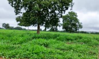 Imagem 6: Fazenda Dupla Aptidão em Araguapaz - Go