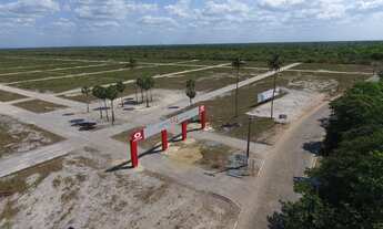 Imagem 3: Lotes em jericoacoara