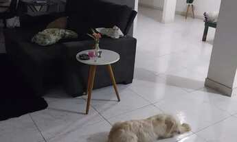 Imagem 4: Vendo um apartamento ou troco