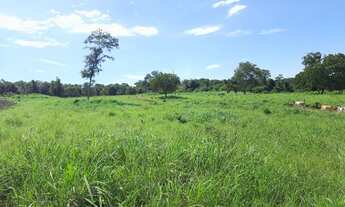 Imagem 7: Sítio 8,5 Alqueires c/ 21 piquetes e mais 9 divisões pasto - 12 KM Mutunópolis GO