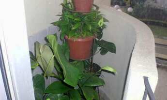 Imagem 4: Apartamento residencial à venda, Cangaíba, São Paulo