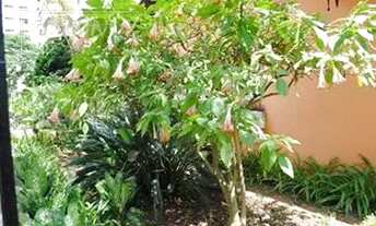 Imagem 3: Santo André - Casa Padrão - Vila Gilda