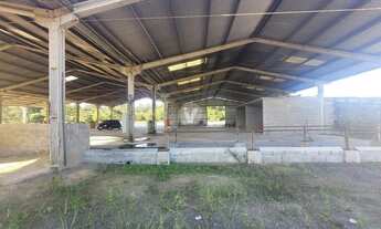 Imagem 3: Excelente pavilhão para locação na Br 390