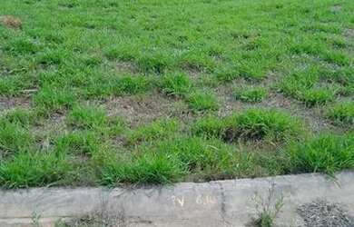 Imagem 7: Terreno vendo Terreno / lote com venda por R$360.000