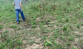Imagem 6: Terreno no loteamento sol nascente Guarabira