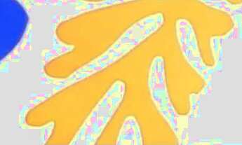 Imagem: Uma Cobertura C/Quarto Individual P/Aluguel