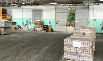 Imagem 7: Santo André - Galpão/Depósito/Armazém - Parque Jaçatuba