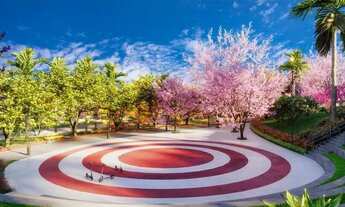 Imagem 6: Vinhas Flamboyant - Terreno