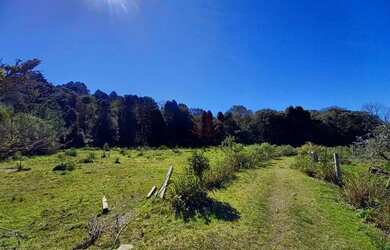 Imagem 4: Terreno no bairro Alpes Verdes em Canela!