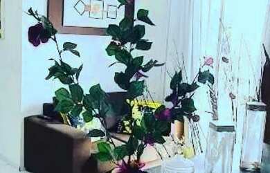 Imagem 6: Vendo excelente apartamento 2 quartos