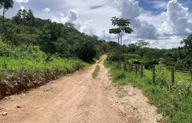 Imagem 3: Chácara 1700m², Energia, Arborizada, 600m Rod. 4km Aragoiânia
