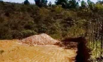 Imagem 2: Lote Jardim Botânico de 360 metros