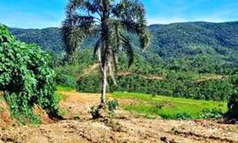 Imagem 3: Lote/Terreno para venda possui 1000 metros quadrados em Rio Acima - Mairiporã - SP