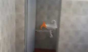 Imagem 5: Casa com 1 dorm, Parque Ipê, São Paulo, Cod: 4533