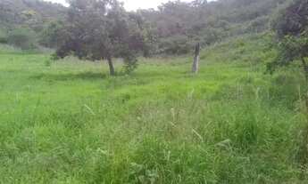 Imagem 6: SÍTIO Fazenda / sítio com venda por R$120.000