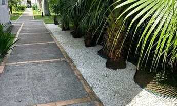 Imagem 3: Apto para Alugar - 2 quartos - Frente Muffato Max