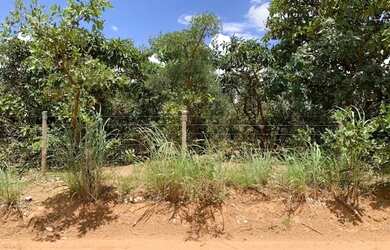 Imagem 2: Chácara 1120m², Setor Tainã, Escriturada, Energia Trifásica, Plana, Aragoiânia.