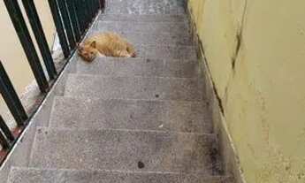 Imagem 5: Casa de 4 côm, sem fiador e depósito, perto do trevo da av interlagos com a av Sabará