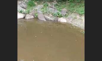 Imagem 7: Vendo uma linda chácara