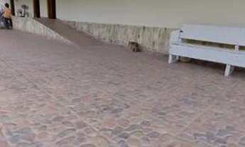 Imagem 3: Chácara para Venda em Salesópolis/SP