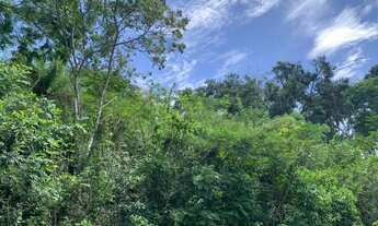 Imagem 3: Terreno rural 2,3ha com rio nos fundos Jaboticatubas