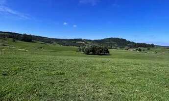 Imagem 5: Campo para pecuária em Taquara RS