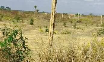 Imagem 3: 02 TEREENOS (IDEAL PARA MINI CHÁCARA) MEDINDO 2000 M²