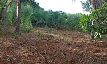 Imagem 2: ?Fazenda 5 alqueires à venda. Aceito casa no negócio com volta