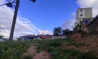 Imagem 6: Terreno 12x36m (432m²) em almirante Tamandaré