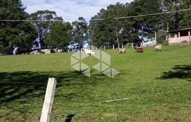 Imagem 5: Terreno Urbano à venda Estrada da Capororoca Viamão RS