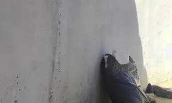 Imagem 2: Casa 2/4 no bairro papagaio a 500 metros da fraga maia