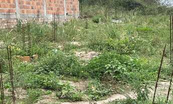 Imagem 2: Vendo terreno viveiros