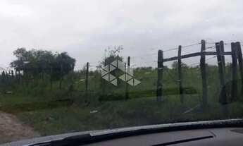 Imagem 7: Terreno à Venda em Arvorezinha, Bagé - R$ 55.000