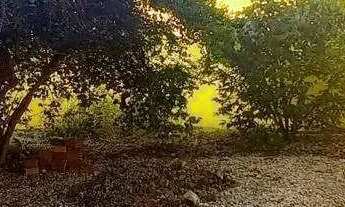 Imagem 7: Venda de Casa com 2 quartos sendo 1 suíte com closet na ARSE 101 (1.004 Sul) em Palmas Toc