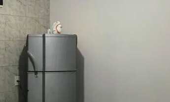 Imagem 4: Casa com Piscina