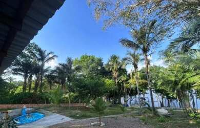 Imagem 4: Vendo Sitio na Comunidade Santa Luzia (Puraquequara)