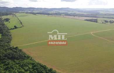 Imagem 11: Fazenda 62 alqueires (300,08 hectares ) Piracanjuba - GO