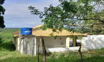 Imagem 5: Lt; Fazenda São João Evangelista
