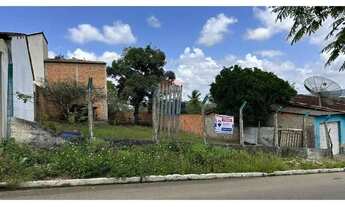 Imagem 7: Terreno 800m² Ótimo Preço em Taquarana, AL