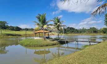Imagem 2: Paraíso Rural Entre Bonfinópolis e Caldazinha Sede Completa e Represa Encantadora codigo