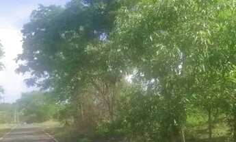 Imagem 3: Vendo ou Alugo Chácara com 5000 m² no Senador Canedo